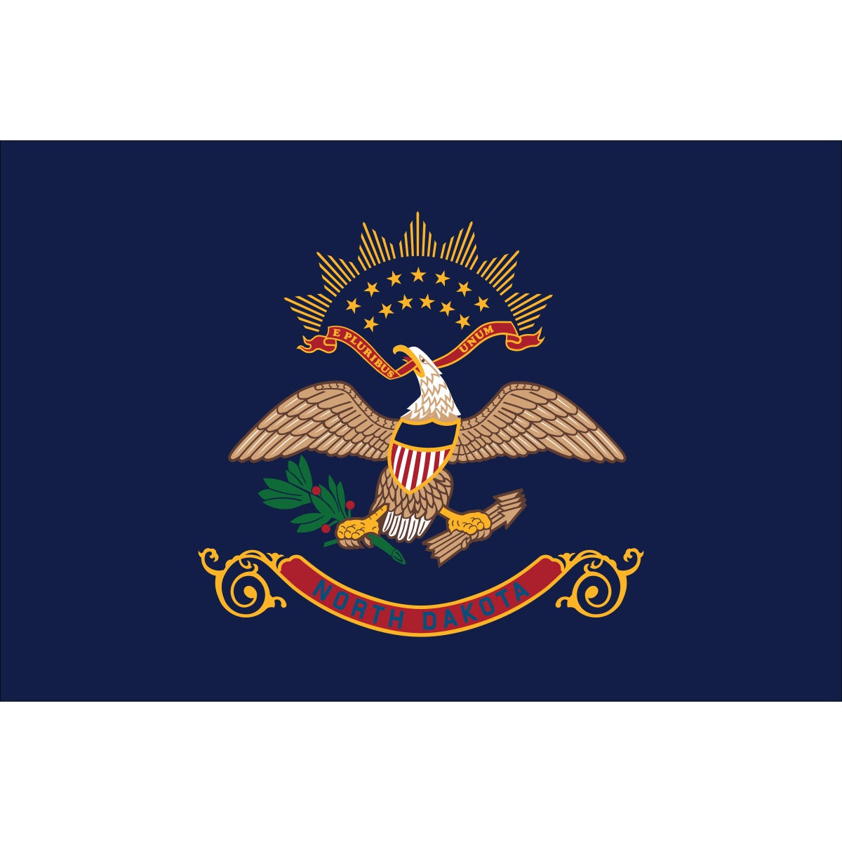 US-North-Dakota-2x3ft-lt-poly-AW