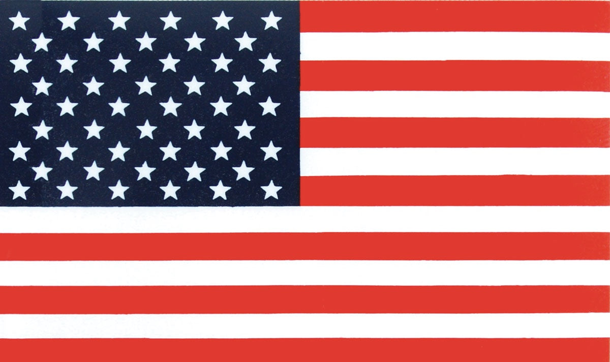 USA-10x15-ft-Nylon-AN