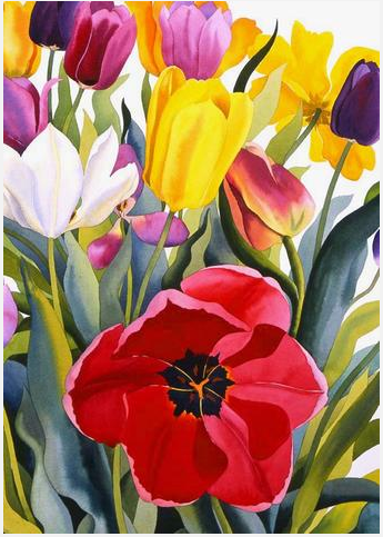 Tulip-Garden-art-TLA