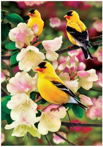 Goldfinch-gathering-garden-flag-12x18-CD