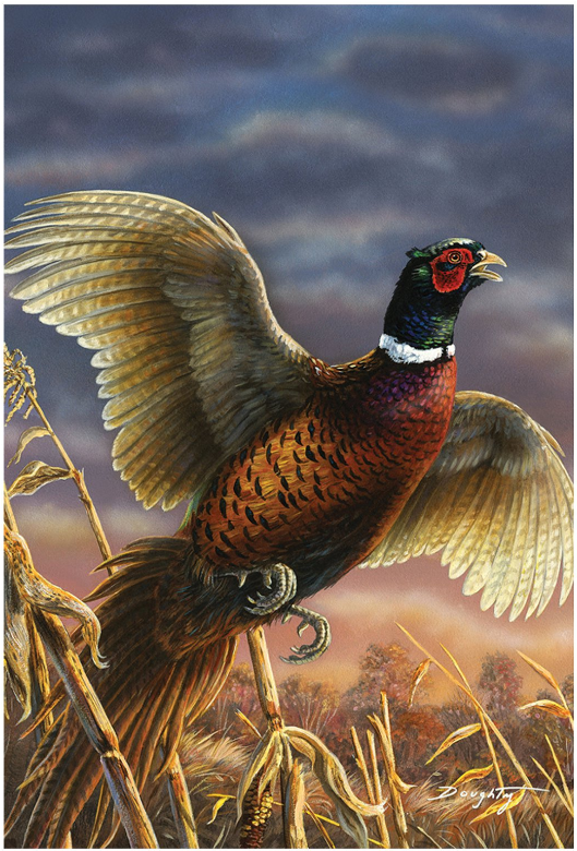 Field-pheasant-garden-TLG