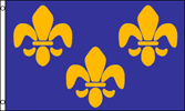 France-23-Fleur-de-Lis-3x5ft-poly-Fi