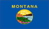 US-Montana-3x5ft-lt-poly-Ee