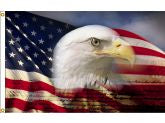 Proud-Eagle-3x5ft-nylon-h&g-FS