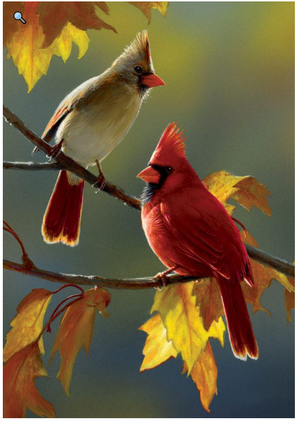 Fall-Cardinal-flag-12x18in-CD