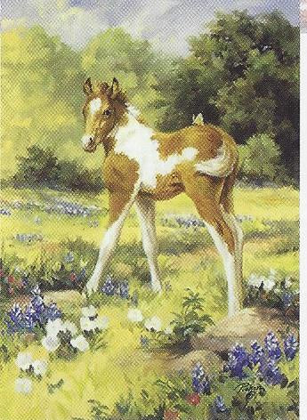 Colt-&-butterfly-art-TLA