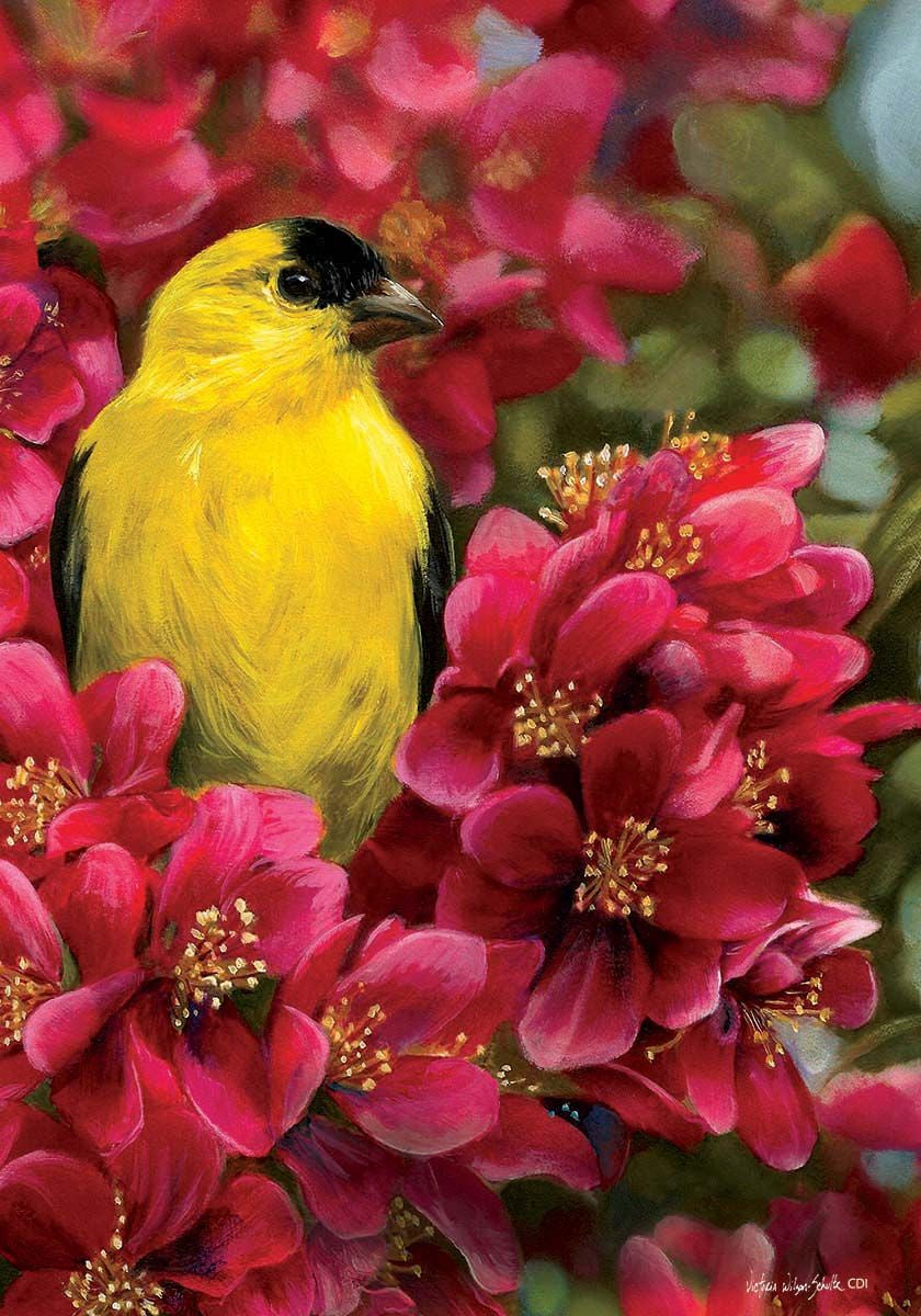 Goldfinch-garden=flag-12x18-CD