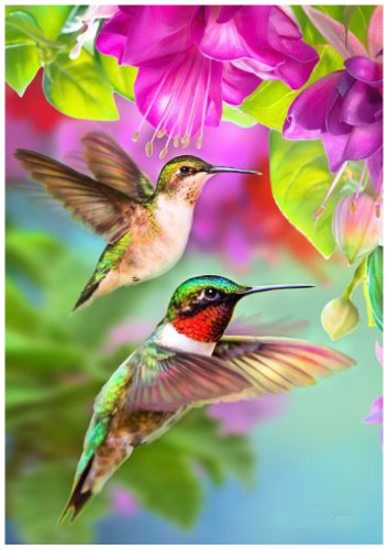 Hummers-flight-art-flag-28x40-CD