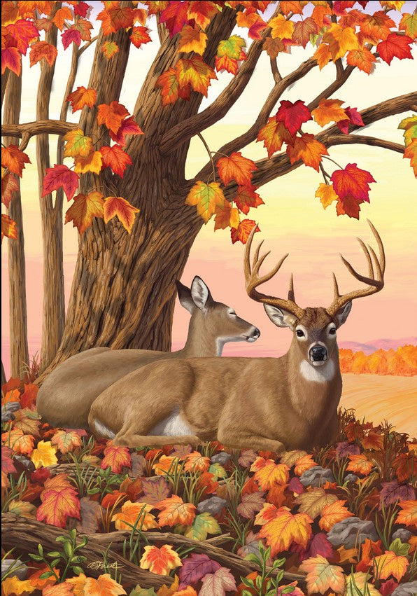 Fall-Deer-28x40-art-flag-CD