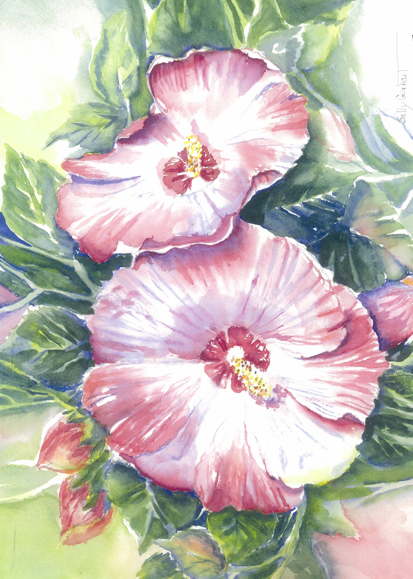 Hibicus-12x18in-Gerhart-garden-TL