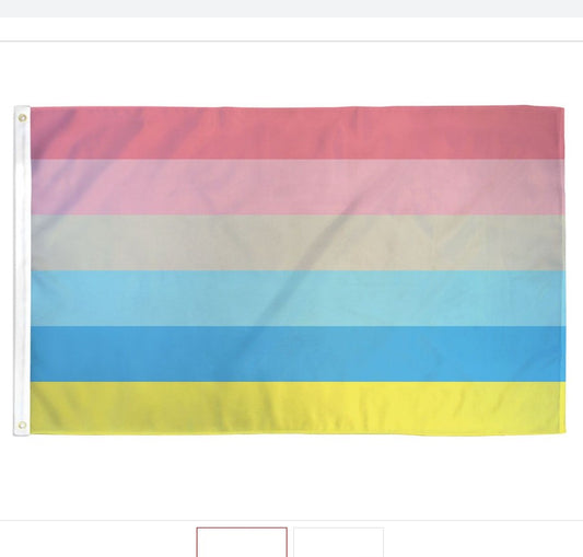 Pride-Genderflux-3x5ft-Lt Poly