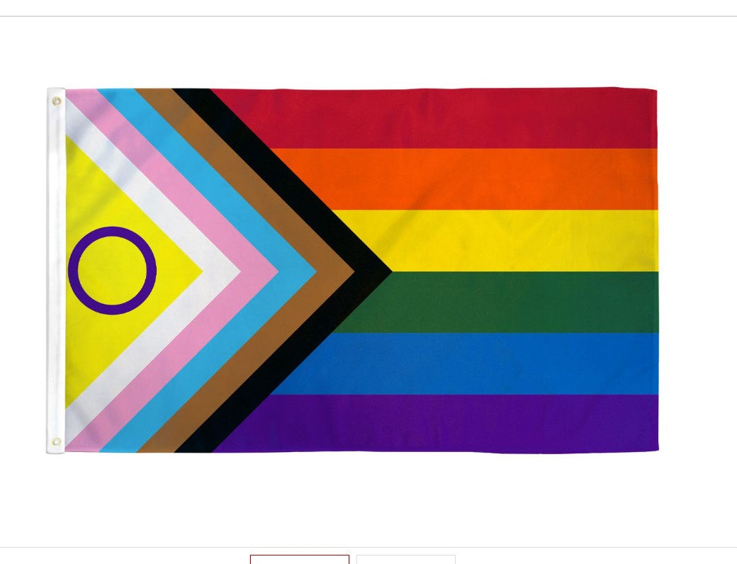 Pride-Inclusive 3x5 ft lt poly-FI