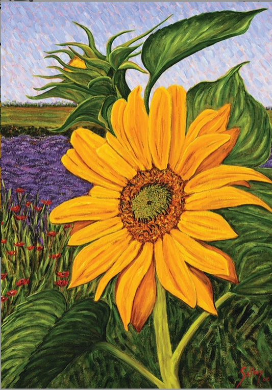 Fields of Gold-garden-TLG