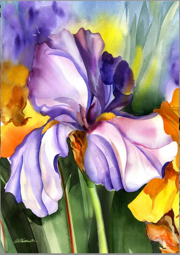 Iris Field-garden-12x18inch-TLG