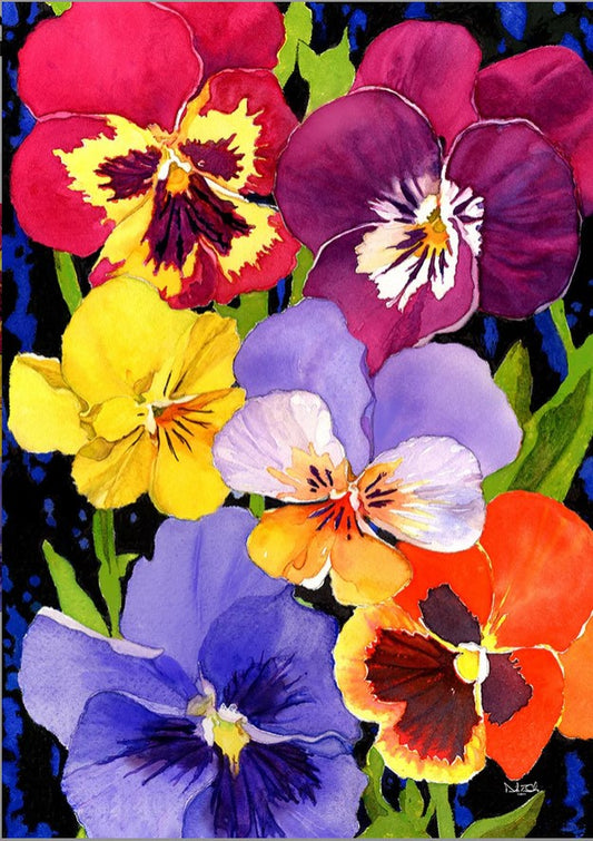 Pansy Perfection-garden-TLG