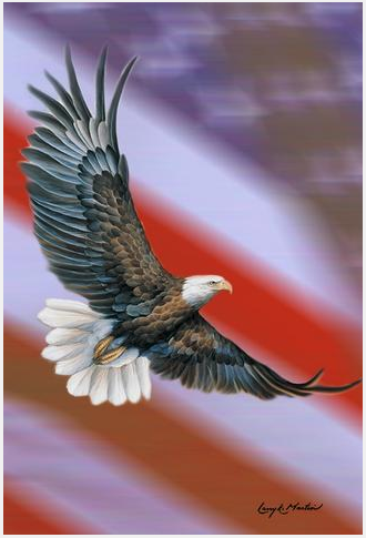 Patriotic Eagle-garden-TLG