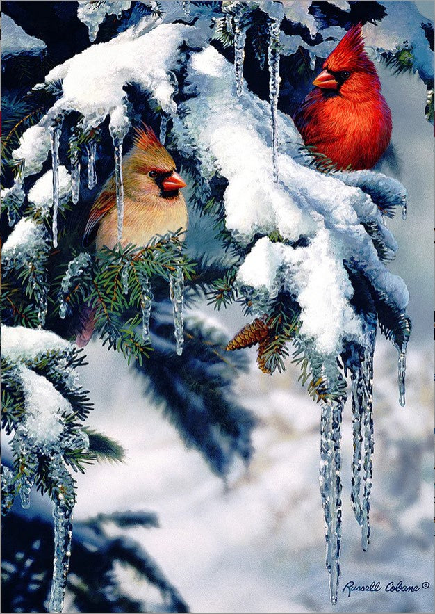 Snow Fir Cardinals-Garden-TL