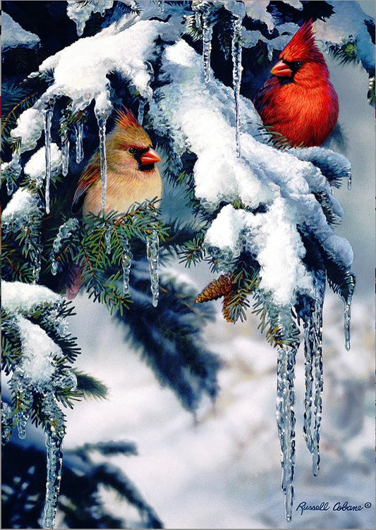 Snow Fir Cardinals-Garden-TL