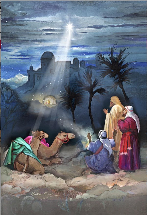 Star of Bethlehem scene-Garden-TL
