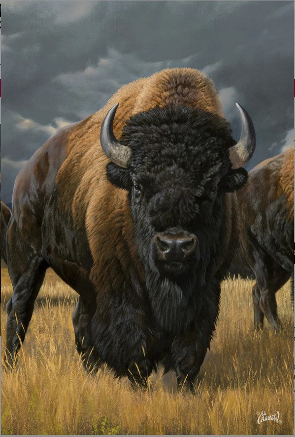 Where the buffalo roam-Art-TL