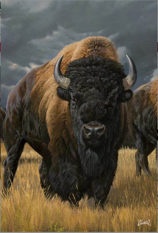 Where the buffalo roam-Art-TL