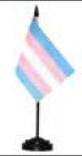 Transgender-Desk-4x6inch-Set-metric-AY