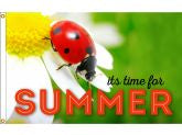 Ladybug-3x5ft-nylon-h&g-FS
