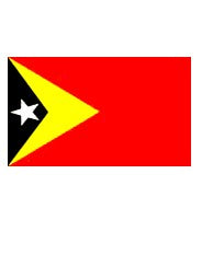 East-Timor-patch-2.5x3.75-no-name-FSH