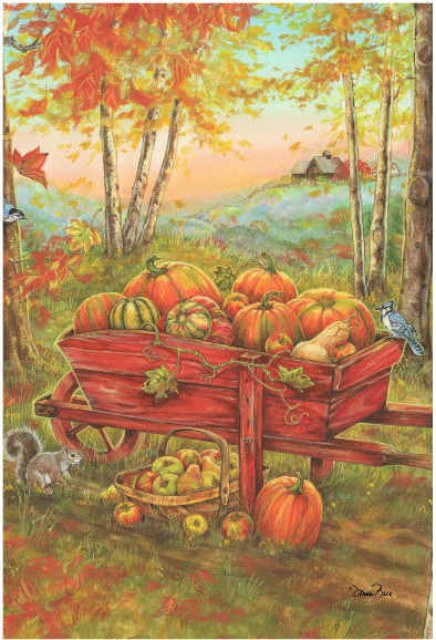 Harvest-wheel-barrow-garden-TLG