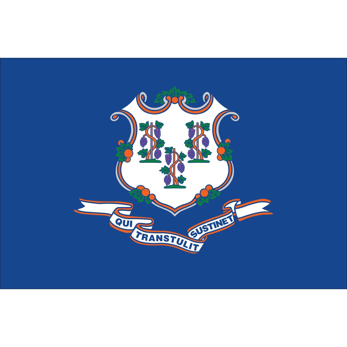 CONNECTICUT-12x18-inch-nylon-outdoor-AN