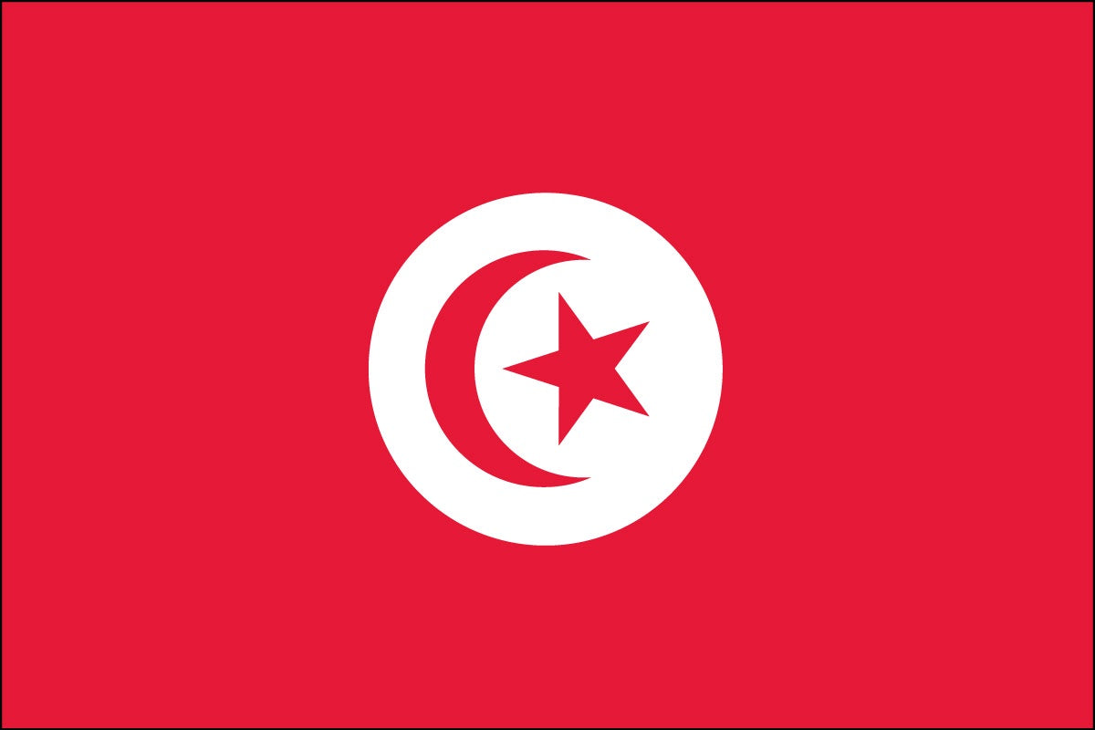 Tunisia-3x5ft-lt-poly-MF