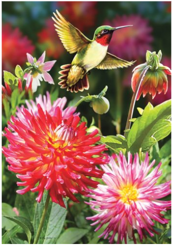 Hummingbird-dahlias-garden-flag-12x18-CD