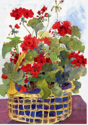 Geranium-Basket-garden-TLG