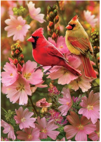 Cardinal-love-garden-flag-12x18-CD