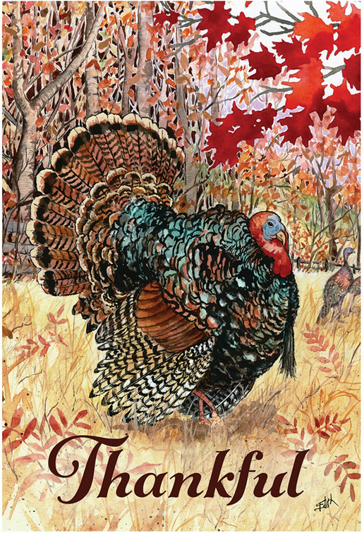 Wild-turkey-art-TLA
