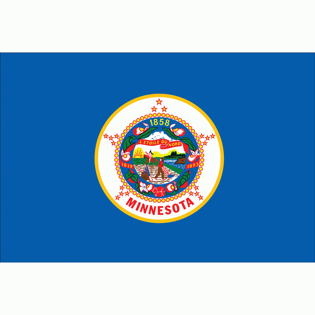 MN-Minnesota-1983-4x6-ft-premium-nylon-ED